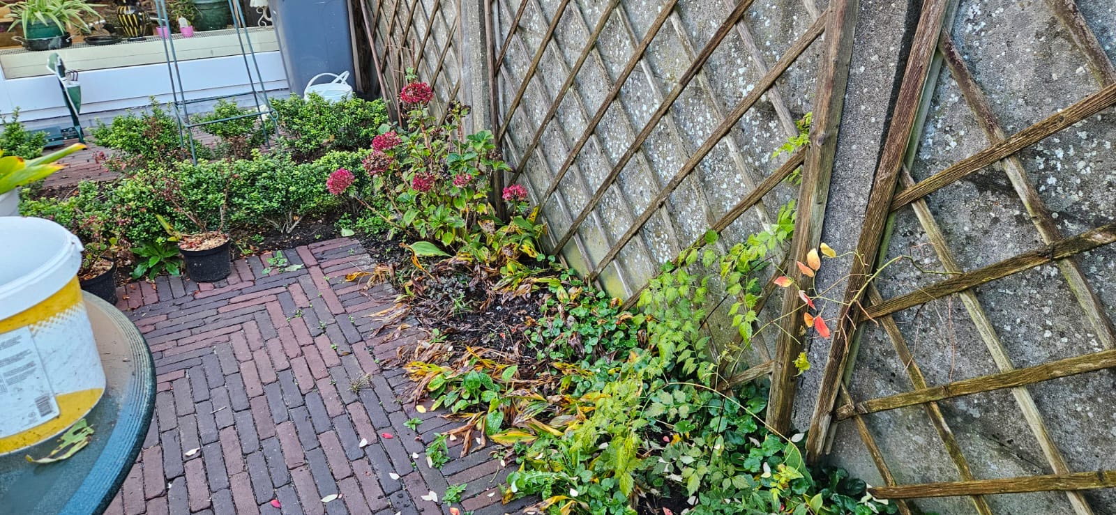 Aangelegd tuinbed bij LV Tuinen