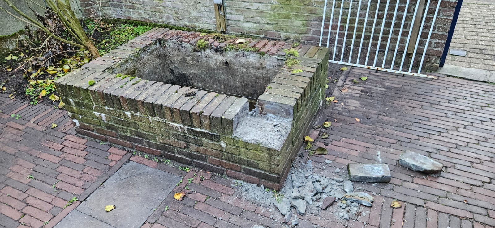 Onderhouden border met buxus door LV Tuinen