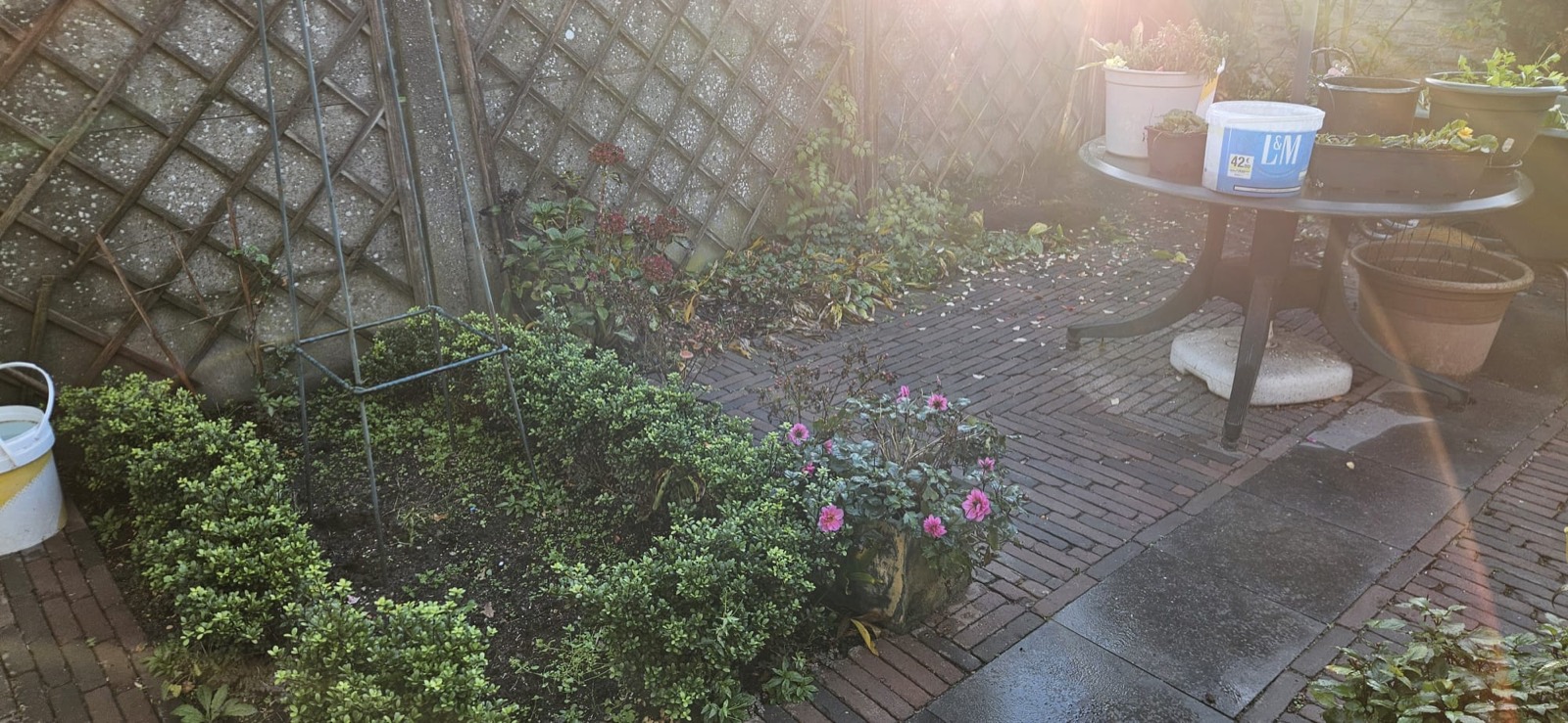 Verzorgde tuinbeplanting door LV Tuinen