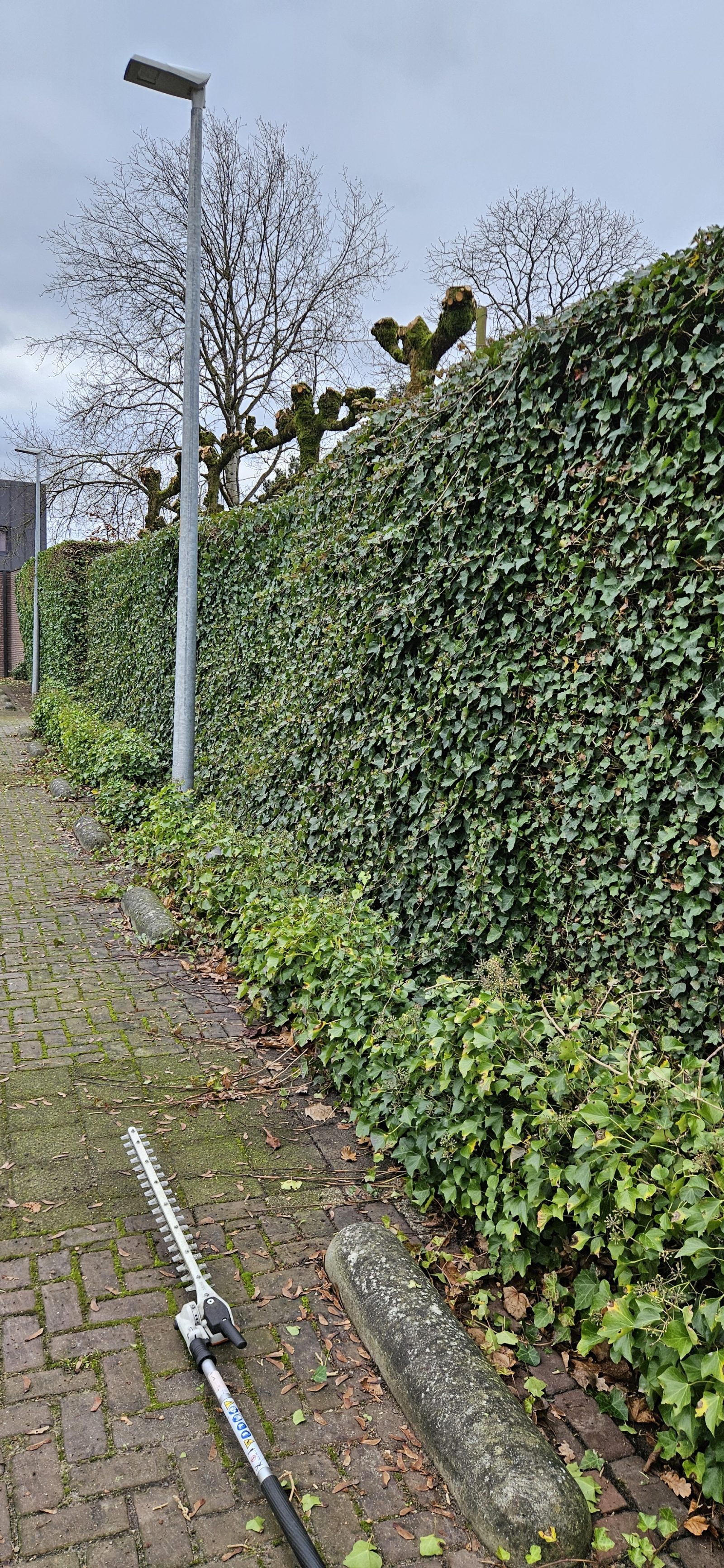 Snoeiwerken